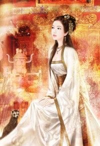 妙手小医仙