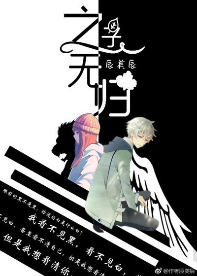之子无归