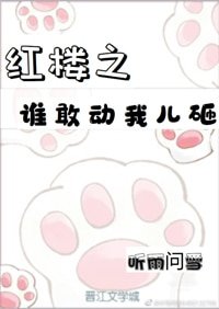 红楼之谁敢动我儿砸